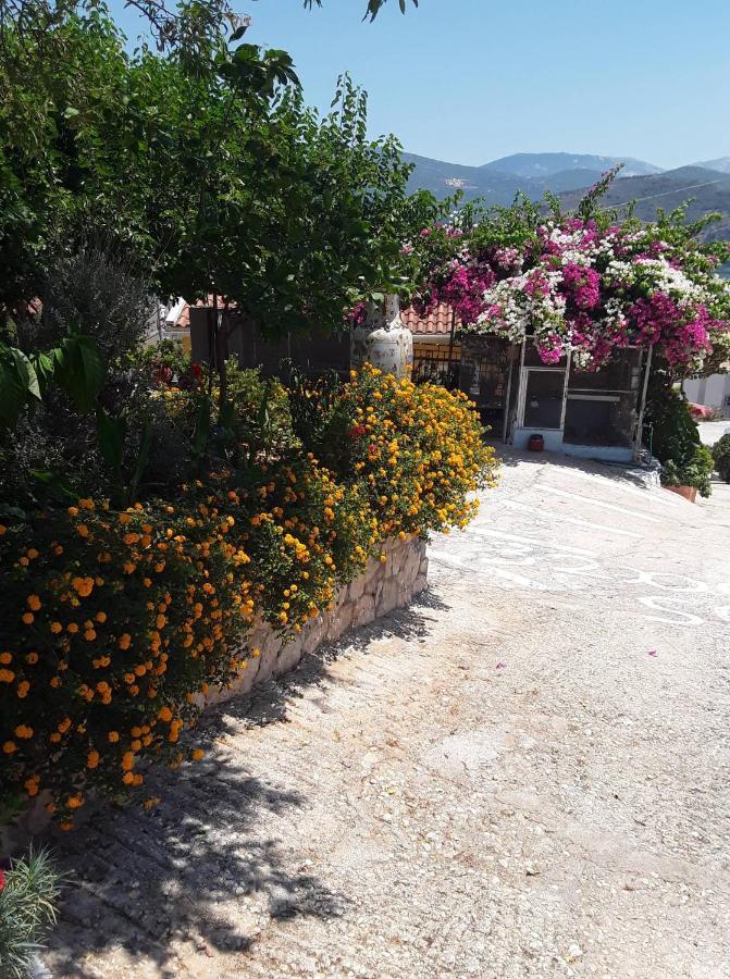 Elenh House Argostoli (Kefalonia) Exterior foto