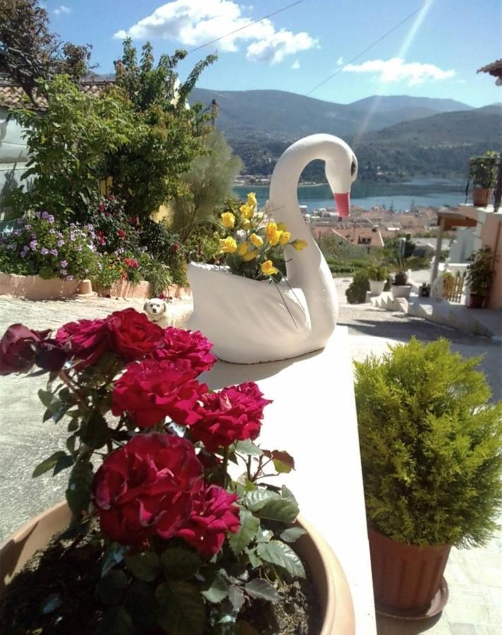 Elenh House Argostoli (Kefalonia) Exterior foto