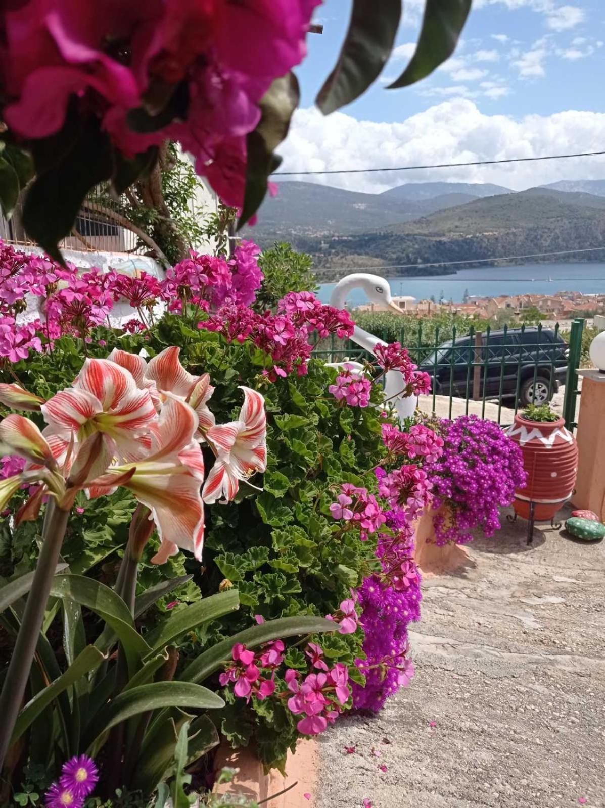 Elenh House Argostoli (Kefalonia) Exterior foto