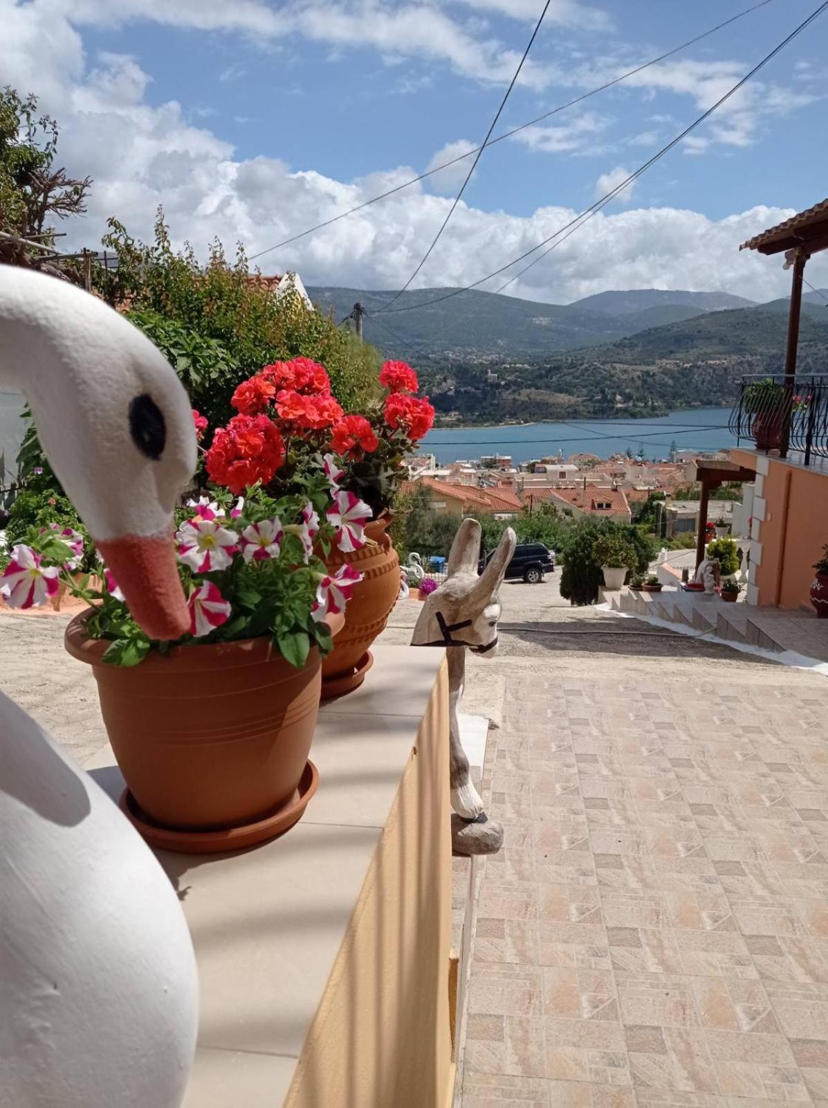 Elenh House Argostoli (Kefalonia) Exterior foto