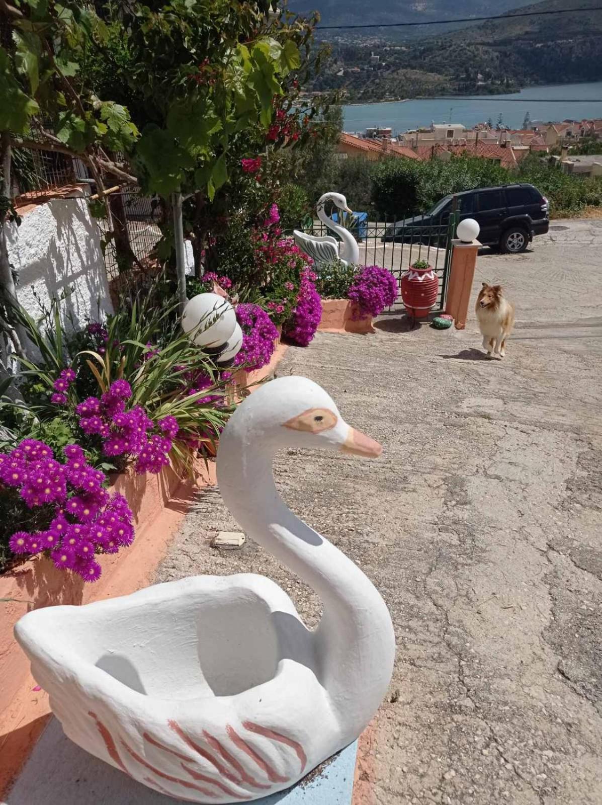 Elenh House Argostoli (Kefalonia) Exterior foto